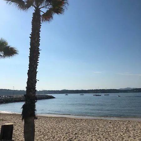 Les Balcons De Centre Avec Vue Et Face A La Lejlighed Bandol